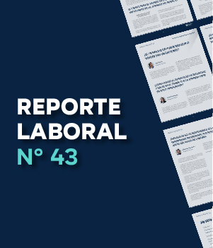 Reporte Laboral N° 43