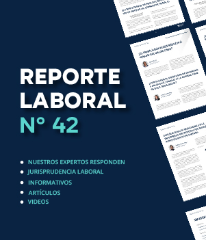 Reporte Laboral N° 42