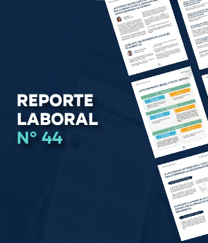 Reporte Laboral N° 44